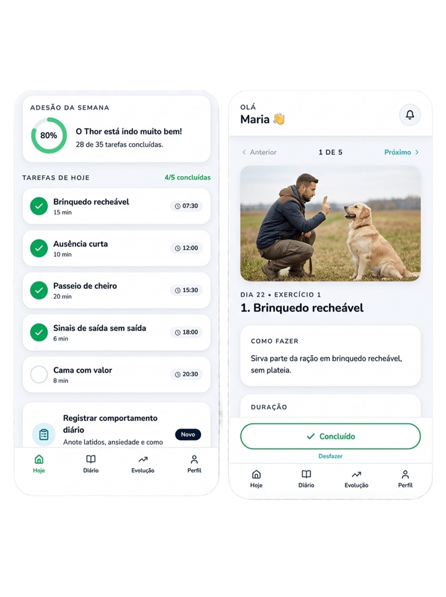 App do tutor no celular: tela Hoje e tela de exercício